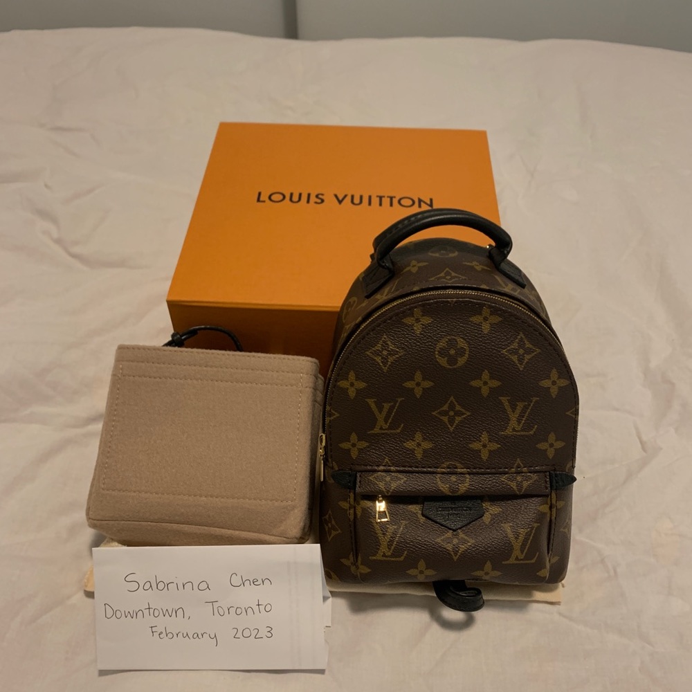 Authentic Louis Vuitton Palm Springs Mini